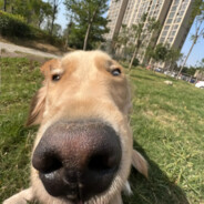 满山猴子俺腚最红