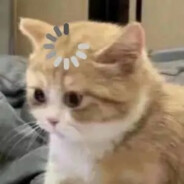 世界破烂，猫猫缝补