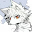 Arctic Fox