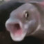 infered