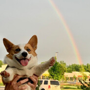 https:\\Mr.Happybash.apk