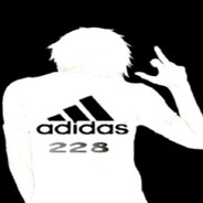 whoismolly avatar