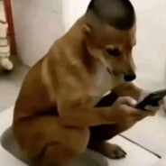 BUNDOWISK