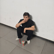 南极家养美洲狮