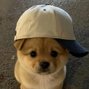 SOS |HV| Nhật Tín