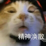 猫猫头悍匪