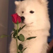 不开心就喝可乐