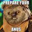 prepare your anus