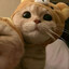 Sunkase
