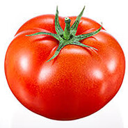 Tomatonator