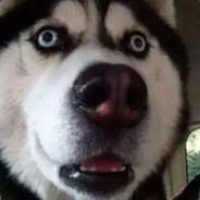 不要再射我了身体装不下了