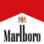 marlboro