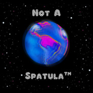 Not A Spatulaâ„¢