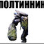 ПОЛТИННИК