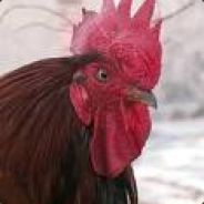 aW|BigRedRooster - steam id 76561197960443134
