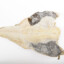 queres bacalhau ****-SKINS.COM