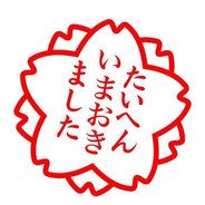 Tsui_Sagiri