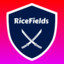 RiceFields