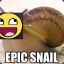 EpicSnail