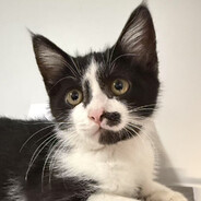 男人不准上桌吃饭