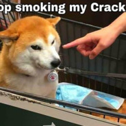 PineappleTheFruitGuy