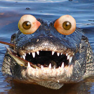 awik avataras