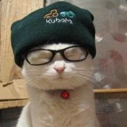 好好选阵容 辅助多买眼