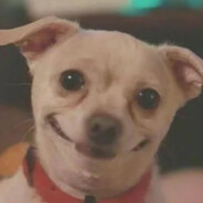 Врач Похметолог