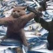 我贱吗，少年？