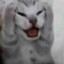 Shurru
