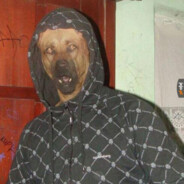 Doggo