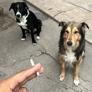 facÜ