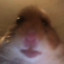 DanGleeSack730