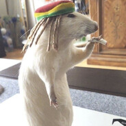 ©ˢᵘᶜᵏ ᵈˡᶜᵏ©