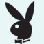 Black_Rabbit_001