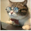tax evasion's avatar