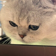 黄金树上黄金果 黄金树下你和我