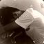 Hunted &lt;/3