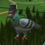 thatdapperpigeon