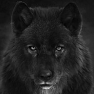 xMrWolfy