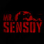 Mr`Seɲsoƴ