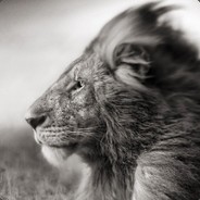 Fuzi - steam id 76561197960475273