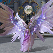 命運 reinprince