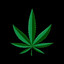 ALZ3TREEE