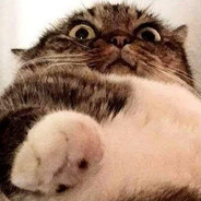 christophersullivan1958 - steam id 76561199559019422