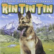 Rin Tin Tin