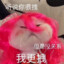 橘橘只