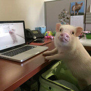 ЛеопардоДикабрио