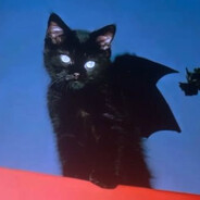 KamikaZe's avatar