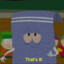 Towelie